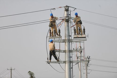 線路避雷器 基本原理、關(guān)鍵技術(shù)要求與電力工程應(yīng)用詳解